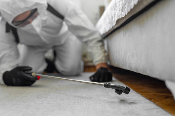 Professional Pest Control technician working in Idaho, ID